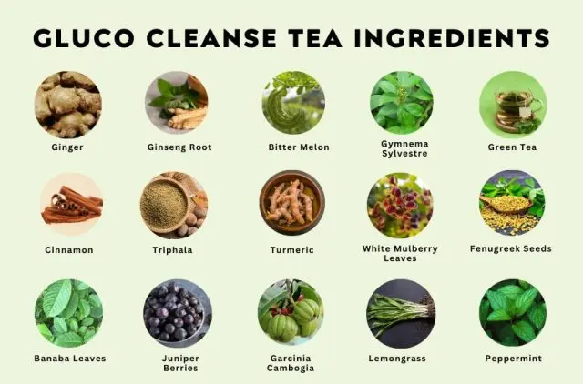 Gluco-Cleanse-Tea-Ingredients