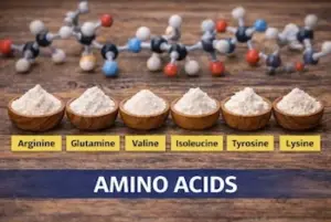 L-arginine (2)