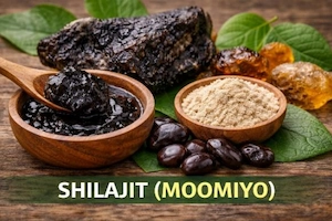 Shilajit (Moomiyo)