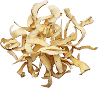 Solomon's Seal