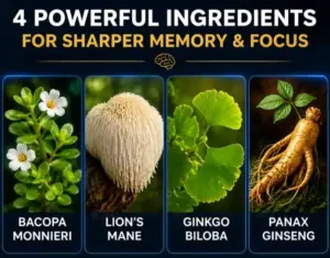 CogniFort Ingredients